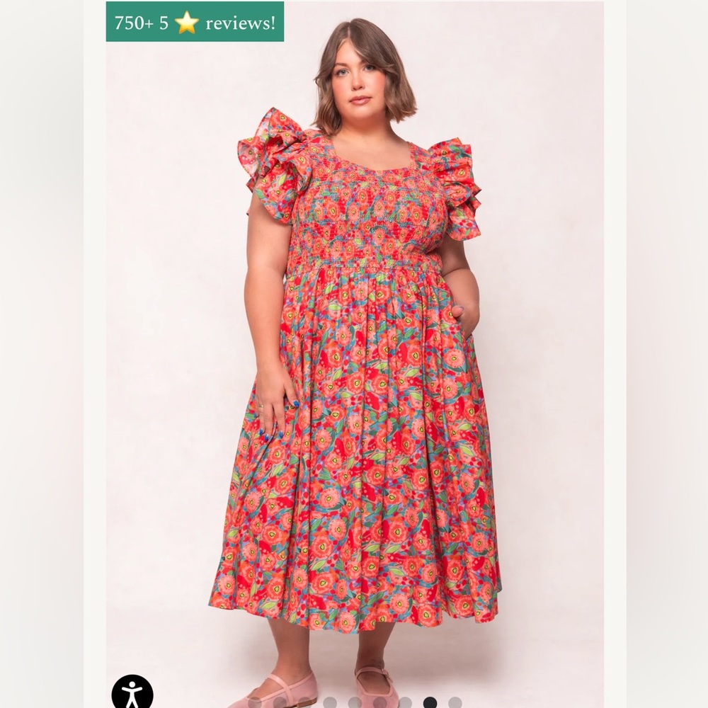 NWT Ivy city Hattie dress poppy print 2x